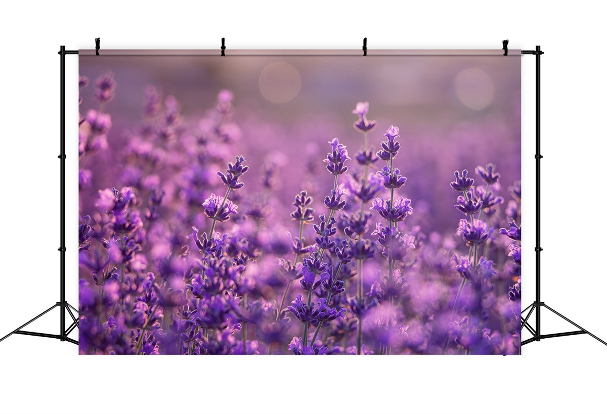 Toile de fond Fleurs Violettes Doux Pré de Violettes GTY3-32