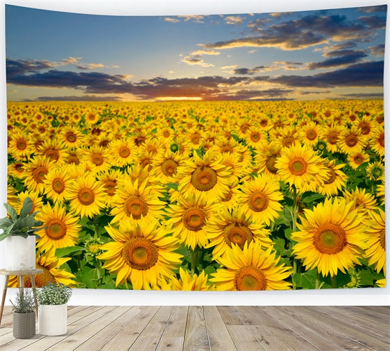 Toile de fond Été Champ de Tournesols Dorés Coucher de Soleil GTY3-381
