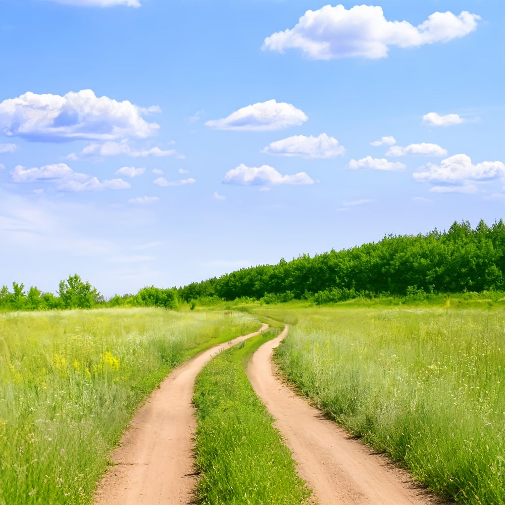 Toile de fond Ciel Sentier Campagne Prairie LXX1-302
