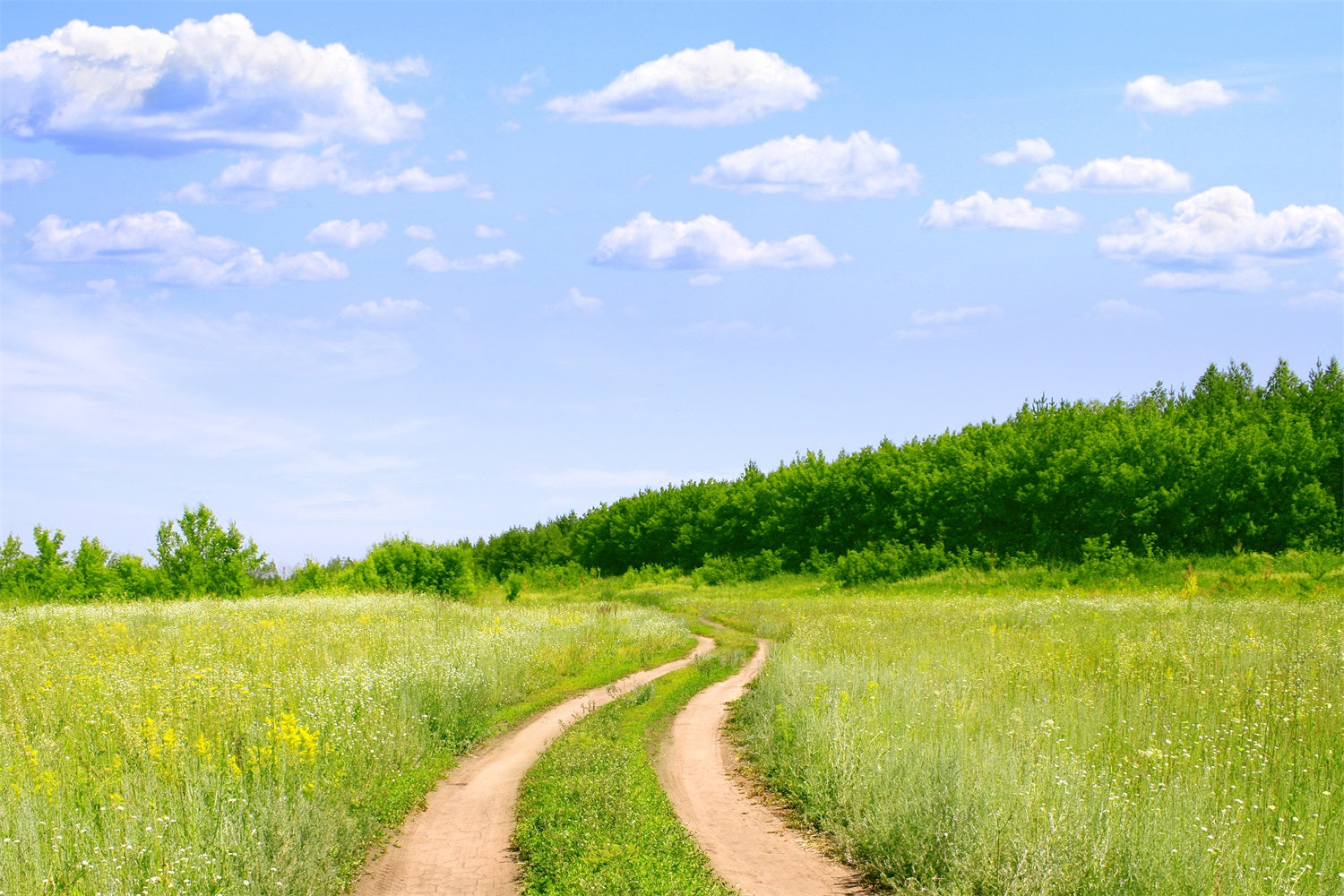 Toile de fond Ciel Sentier Campagne Prairie LXX1-302