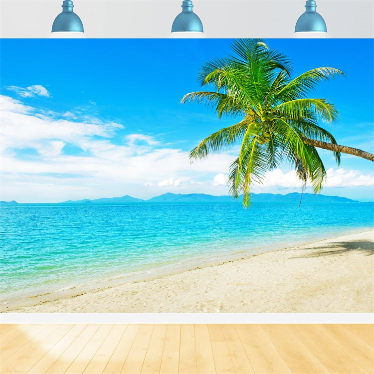 Toile de fond Océan Ciel Plage Ensoleillée Arbre à Noix de Coco LXX1-304