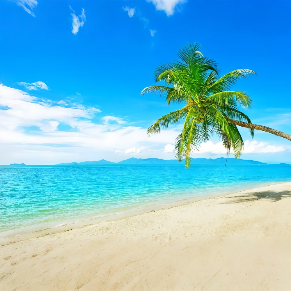 Toile de fond Océan Ciel Plage Ensoleillée Arbre à Noix de Coco LXX1-304