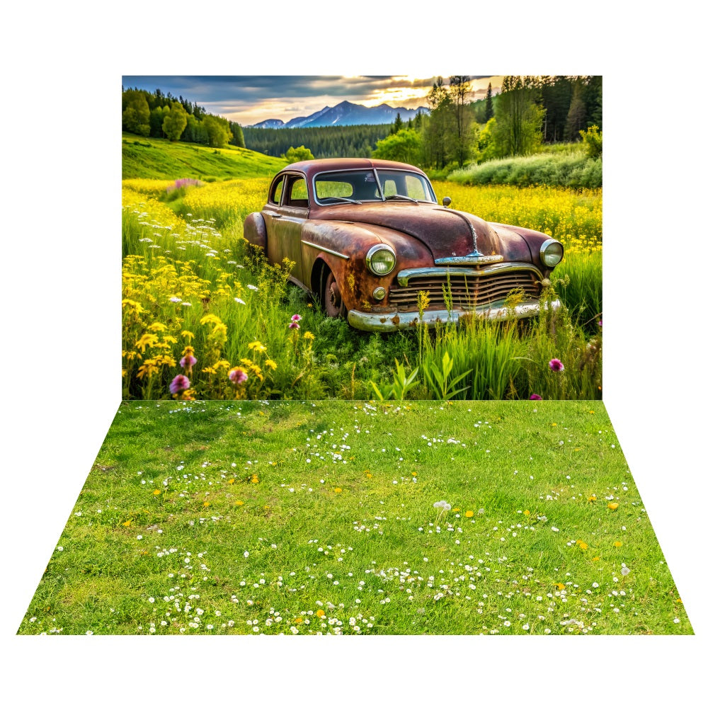 Toile de fond Camionnette Rustique Prairie + Sol Herbe Fleurie Sauvage LXX2-183