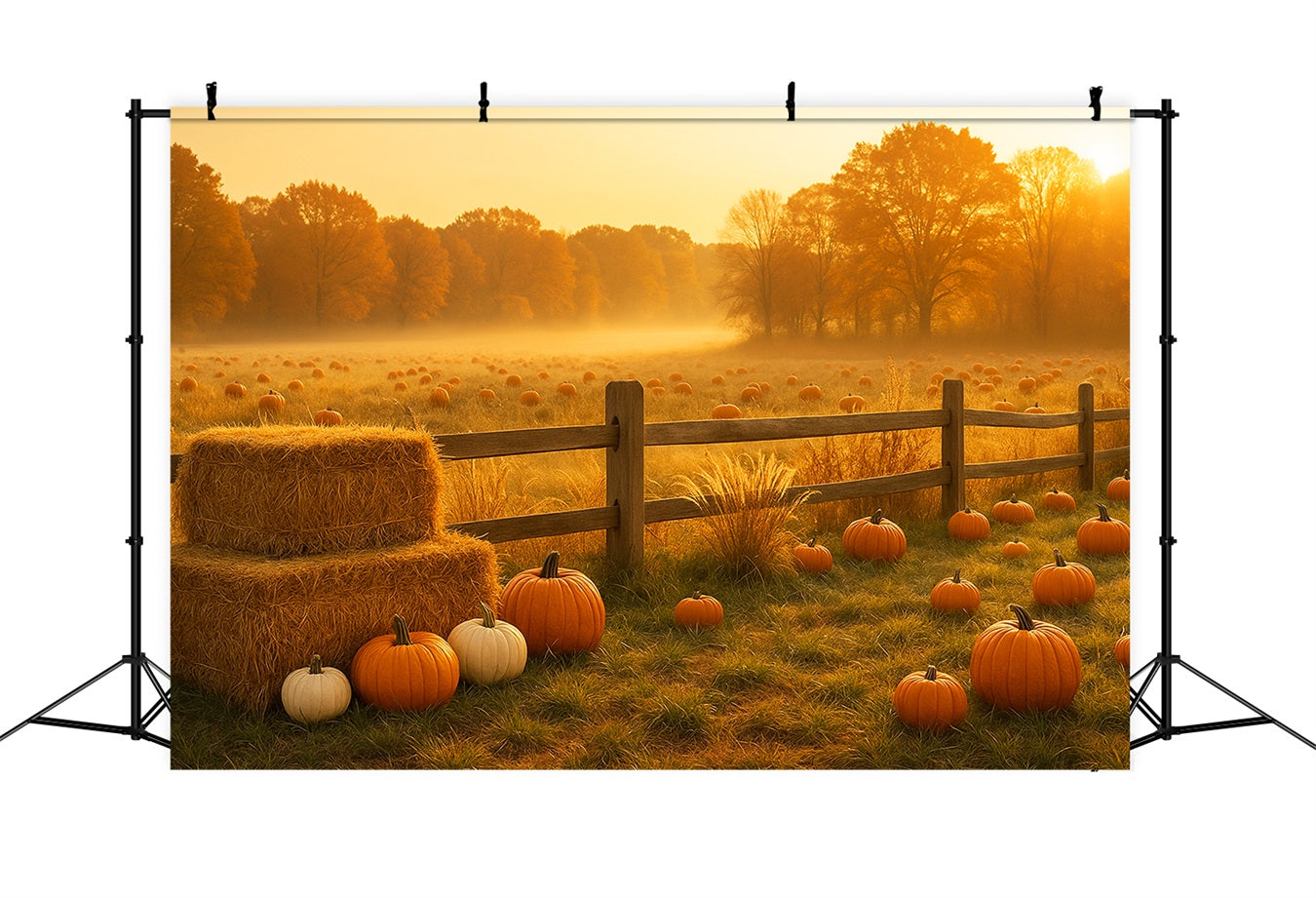 Fond de champ de citrouilles Prairie dorée Champ de citrouilles Fond Thanksgiving LXX510-48