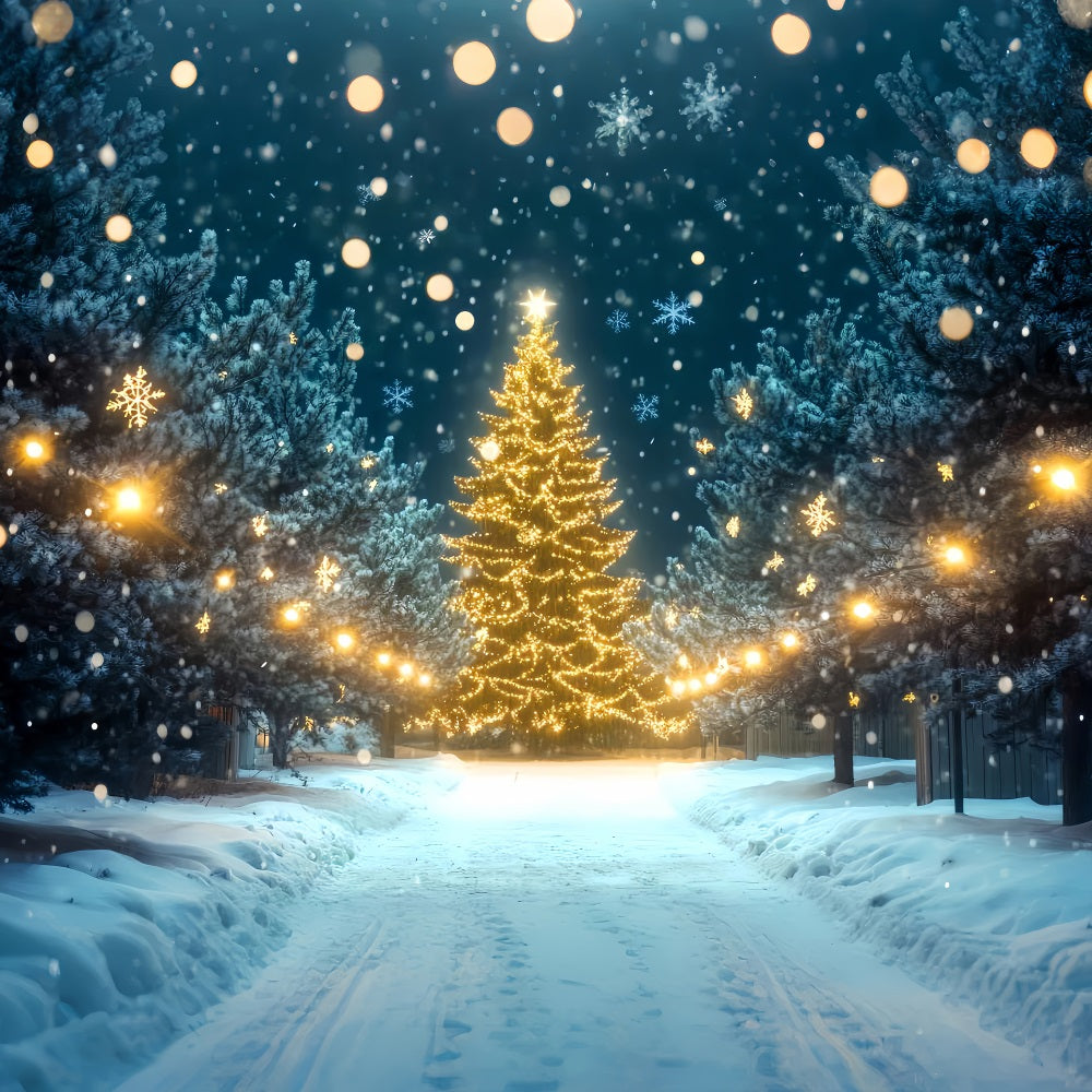 Fond hivernal féérique Chemin lumineux d'arbres de Noël Fonds hivernaux LXX510-81