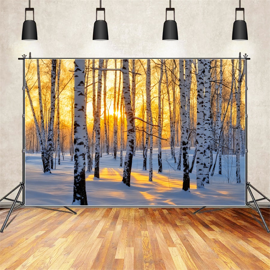 Fond forêt hivernale Lever de soleil doré Bouleau féérique Fond hivernal LXX510-87