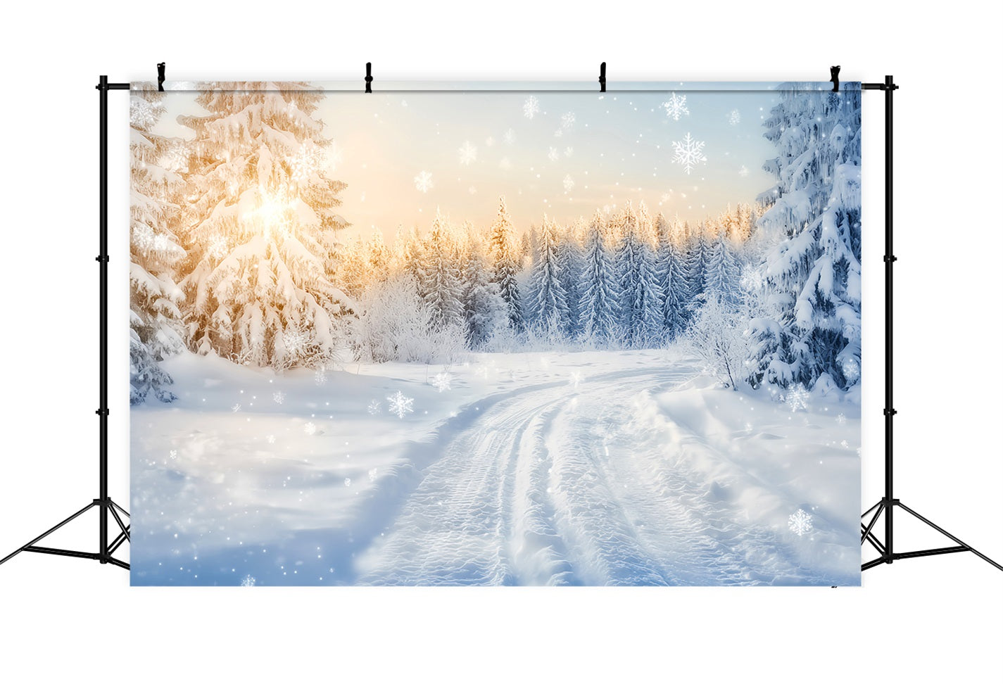 Fond hivernal féérique Forêt scintillante Sentier au lever du soleil Fonds hivernaux LXX510-90