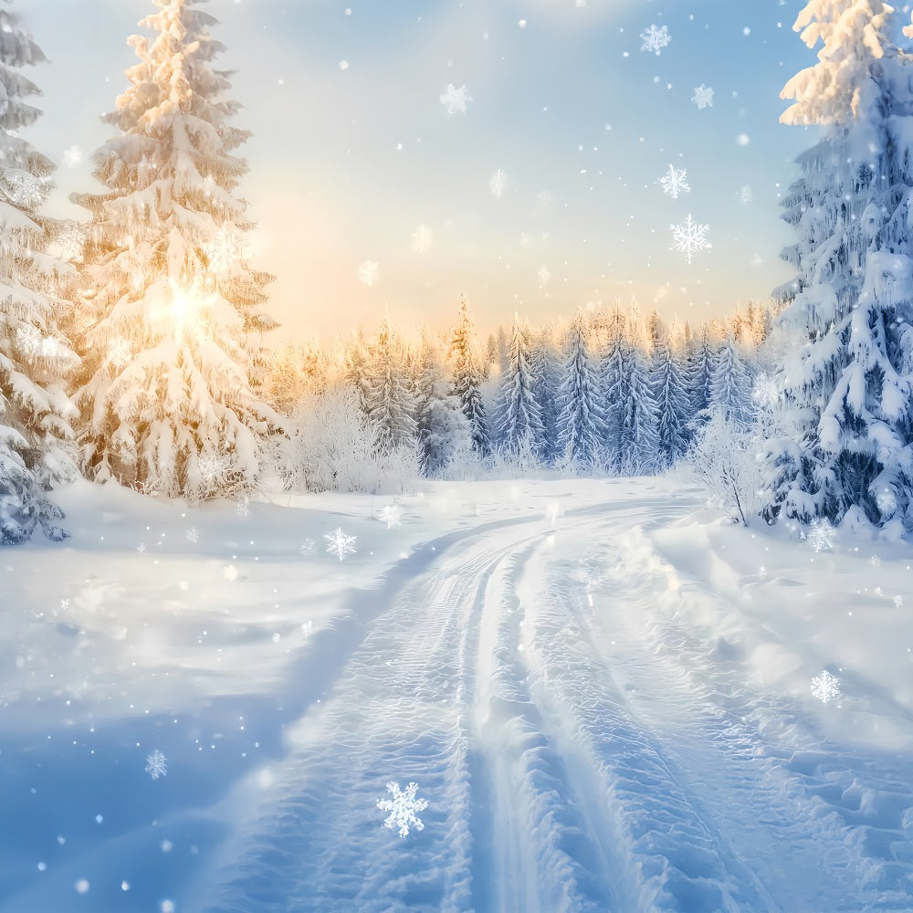 Fond hivernal féérique Forêt scintillante Sentier au lever du soleil Fonds hivernaux LXX510-90