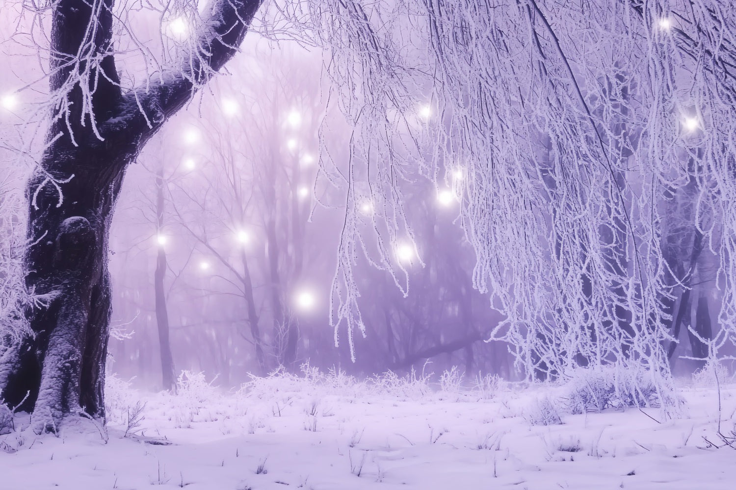 Toile de fond Hiver Forêt Enchantée Lumières Glacées LXX58-226
