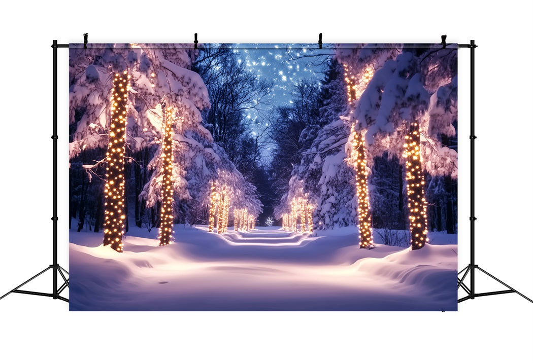 Toile de fond Hiver Chemin Enneigé Lumières Dorées LXX58-241