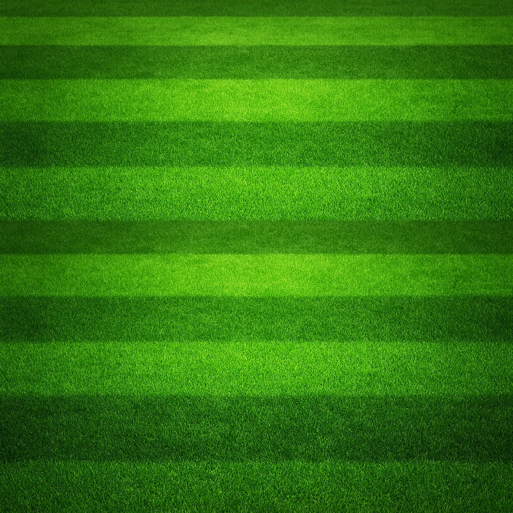 Fond sportif terrain de football à gazon vert rayé LXX59-323