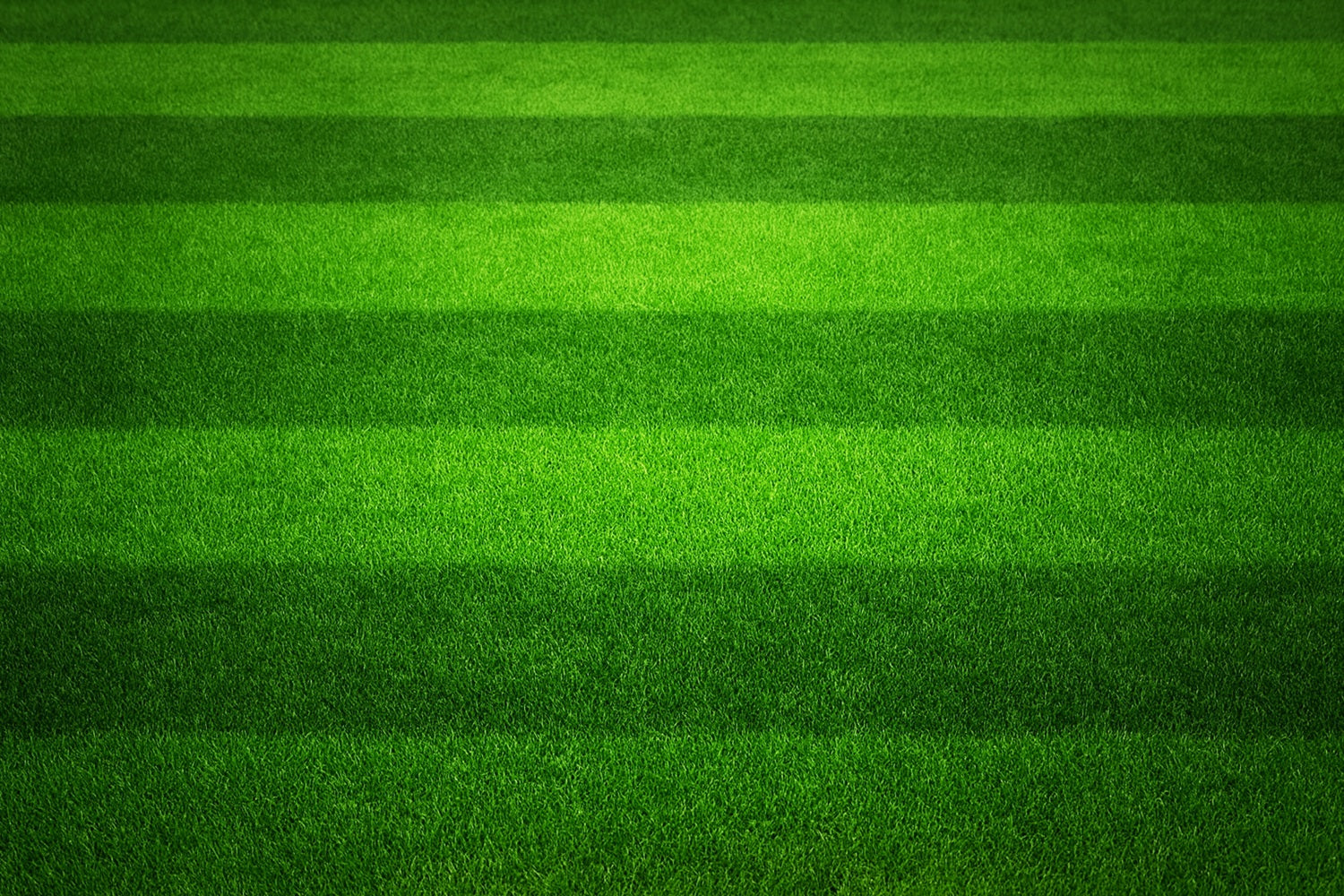 Fond sportif terrain de football à gazon vert rayé LXX59-323