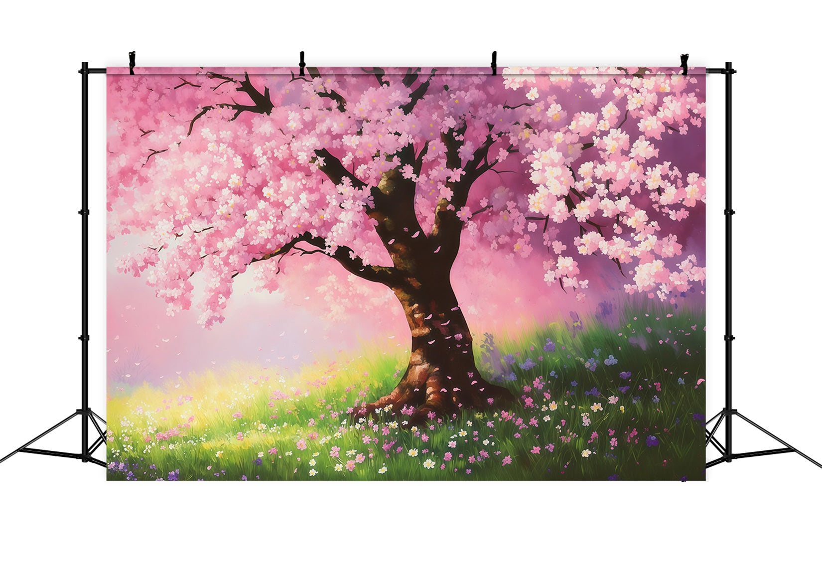 Toile de fond Photo Fleur Champ Sakura Peint Rêveur LXX61-176