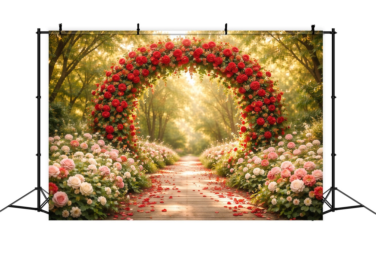 Toile de fond Fleur Allée Pétales Bois Arche Roses LXX61-186