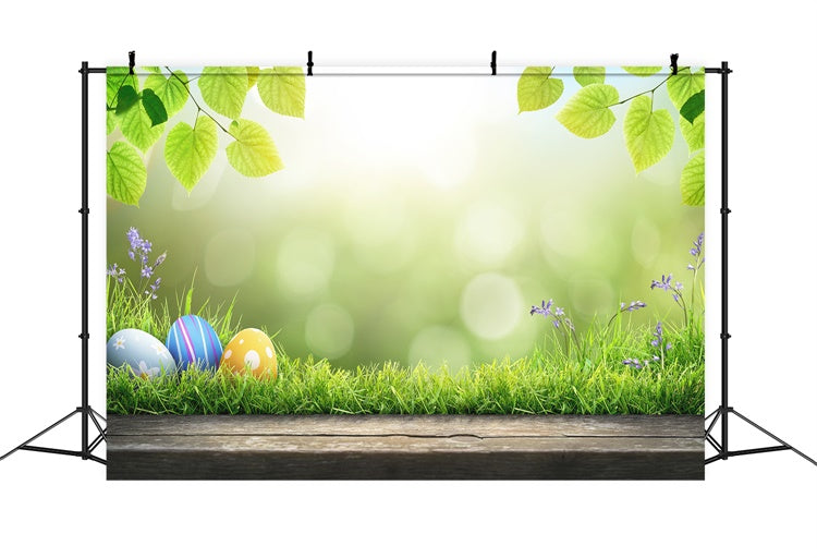 Œufs de Pâques Soleil Vert Pelouse Feuillue Toile de fond M1-35