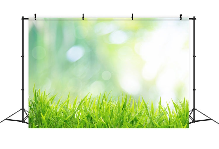 Début Printemps Herbe naissante Ensoleillé Bokeh Toile de fond M1-60