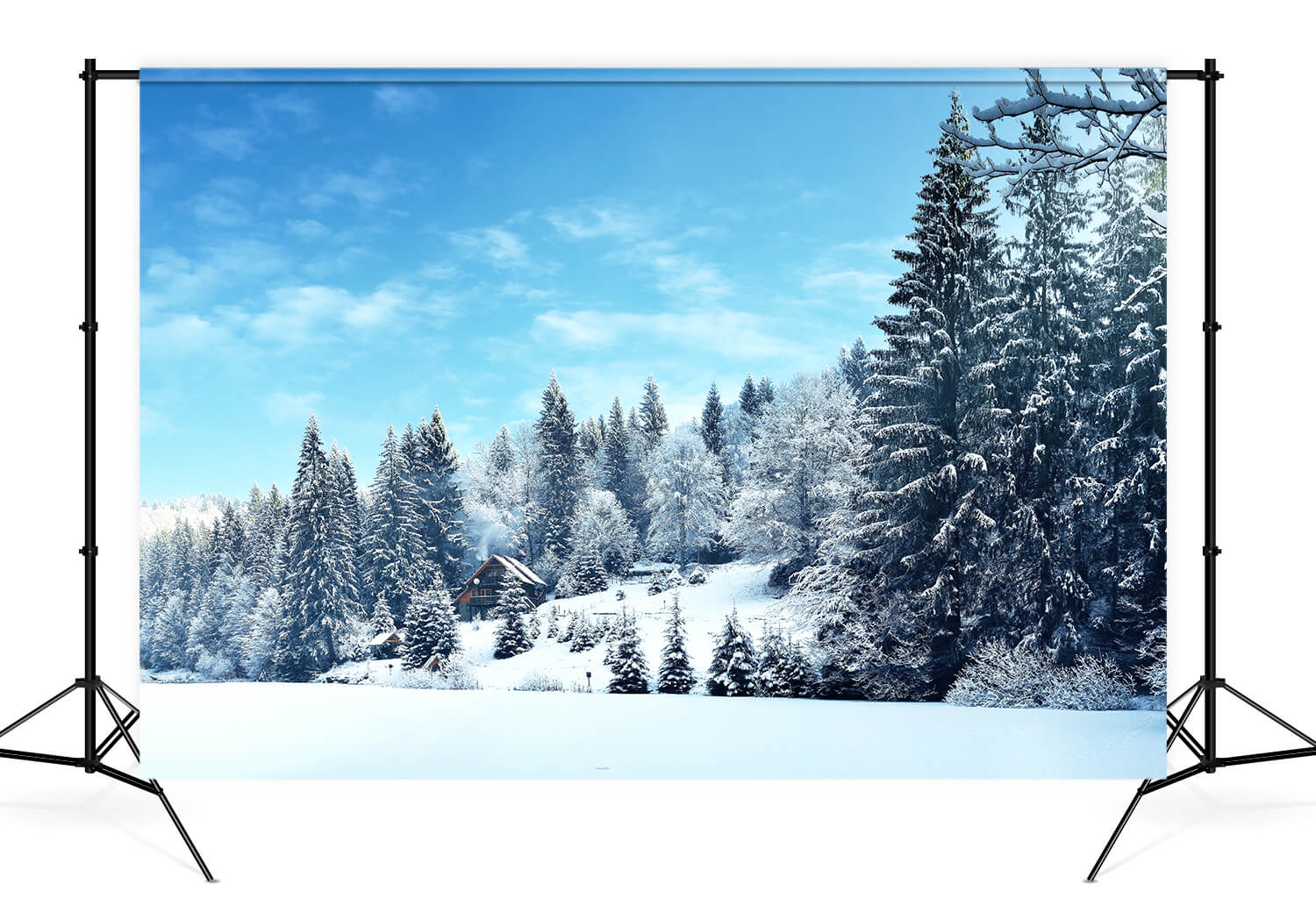 Hiver Pin Forêt Neige Paysage Toile de fond M10-66