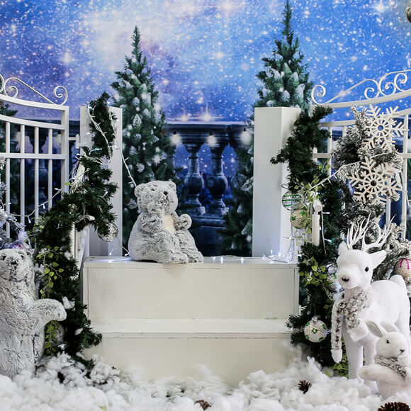Hiver Noël Bonhomme de neige Ours fauve Toile de fond M11-10