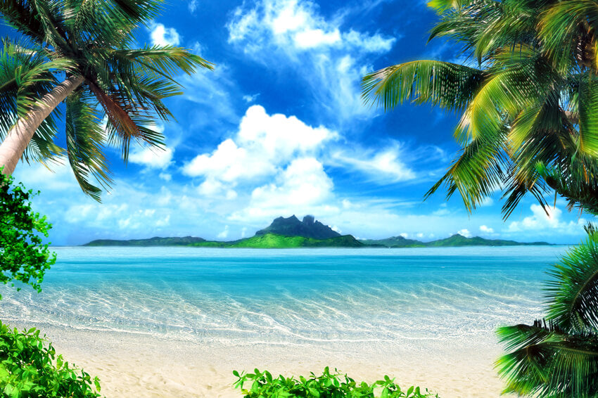 Toile de Fond D'été de Plage de Sable de Bord de Mer Tropical M5-101
