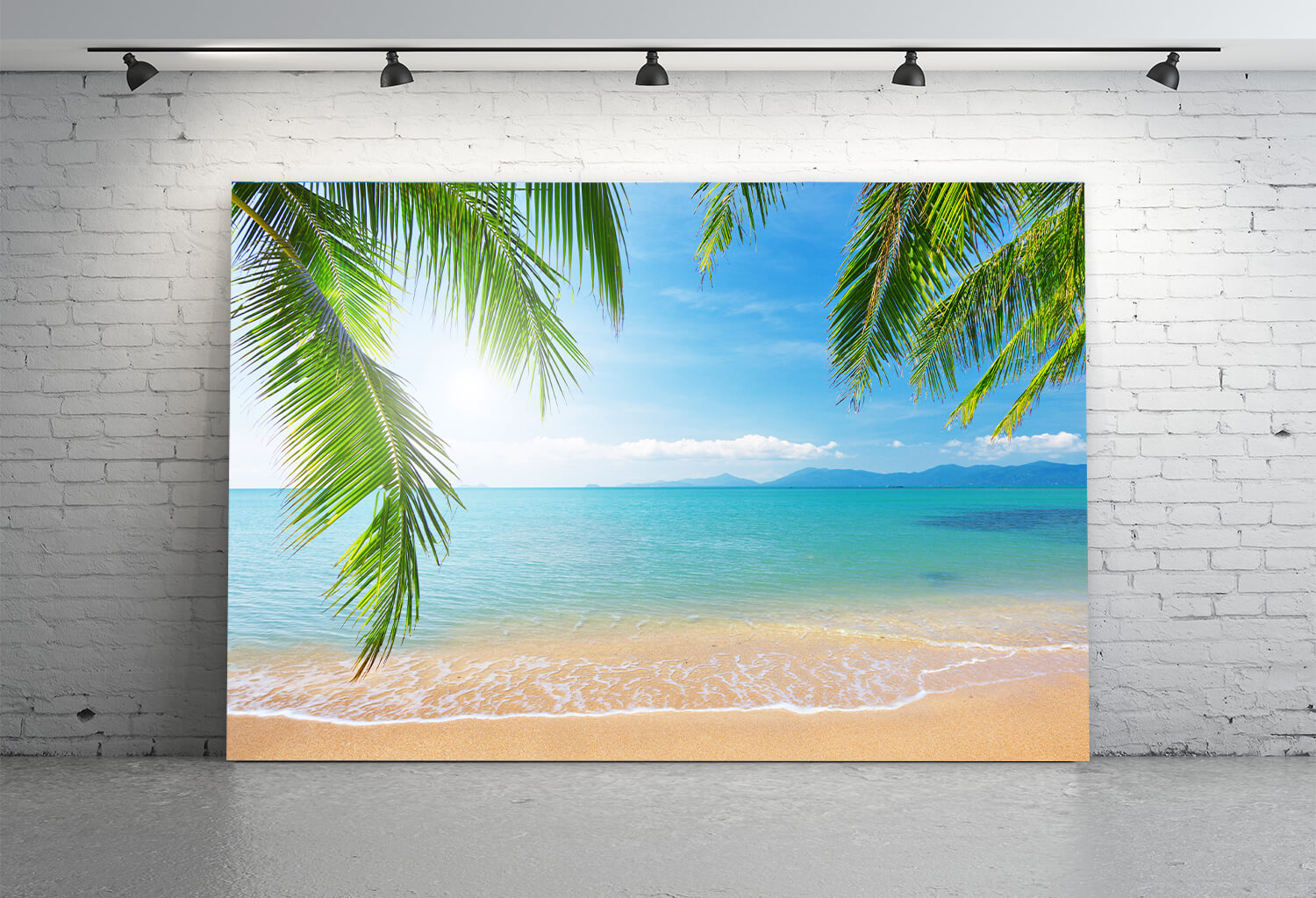 Palmier Plage Tropicale Photographie Toile de Fond M5-117
