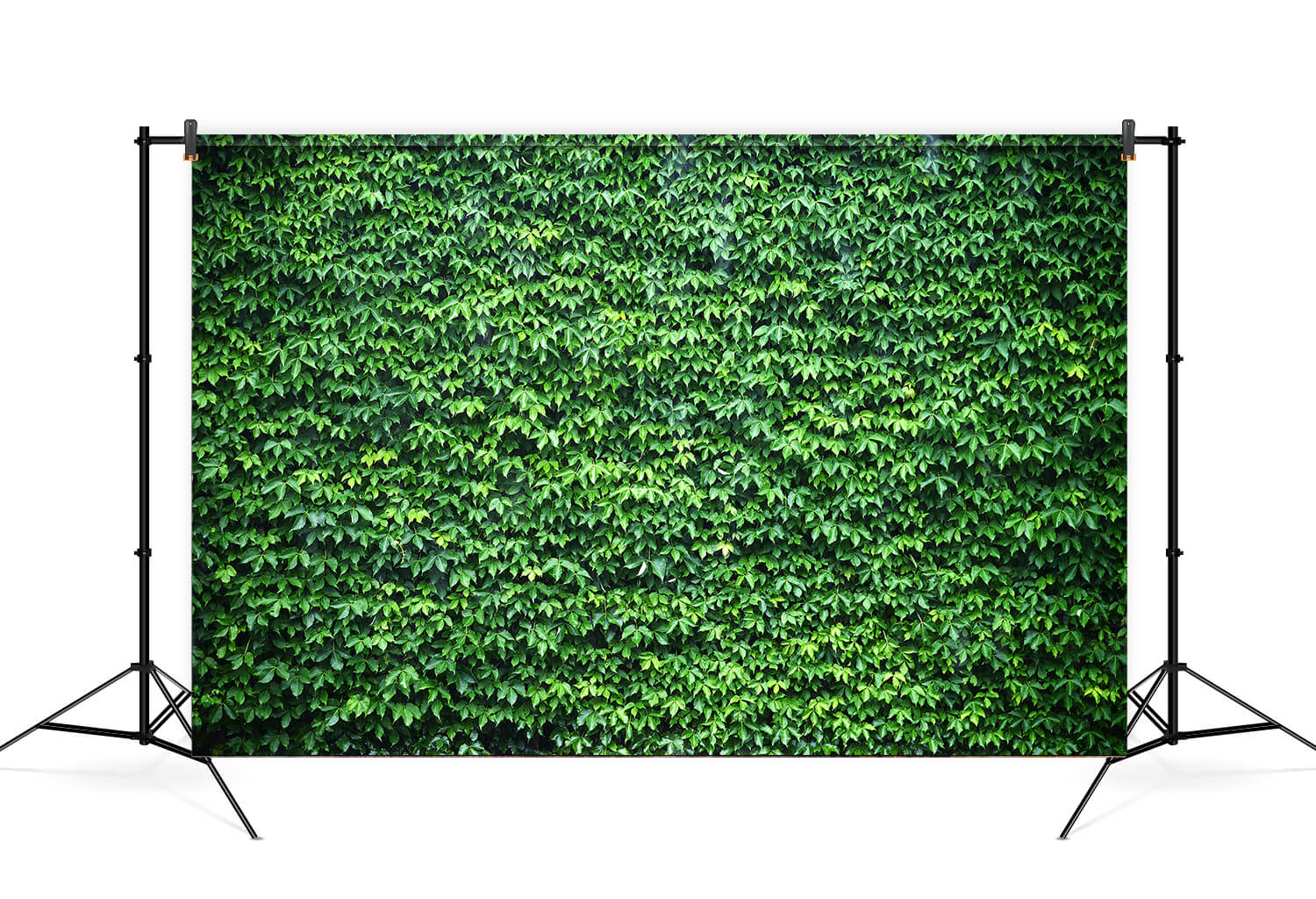 Toile de Fond Mur Vert Ivy pour Photo Booth M6-117