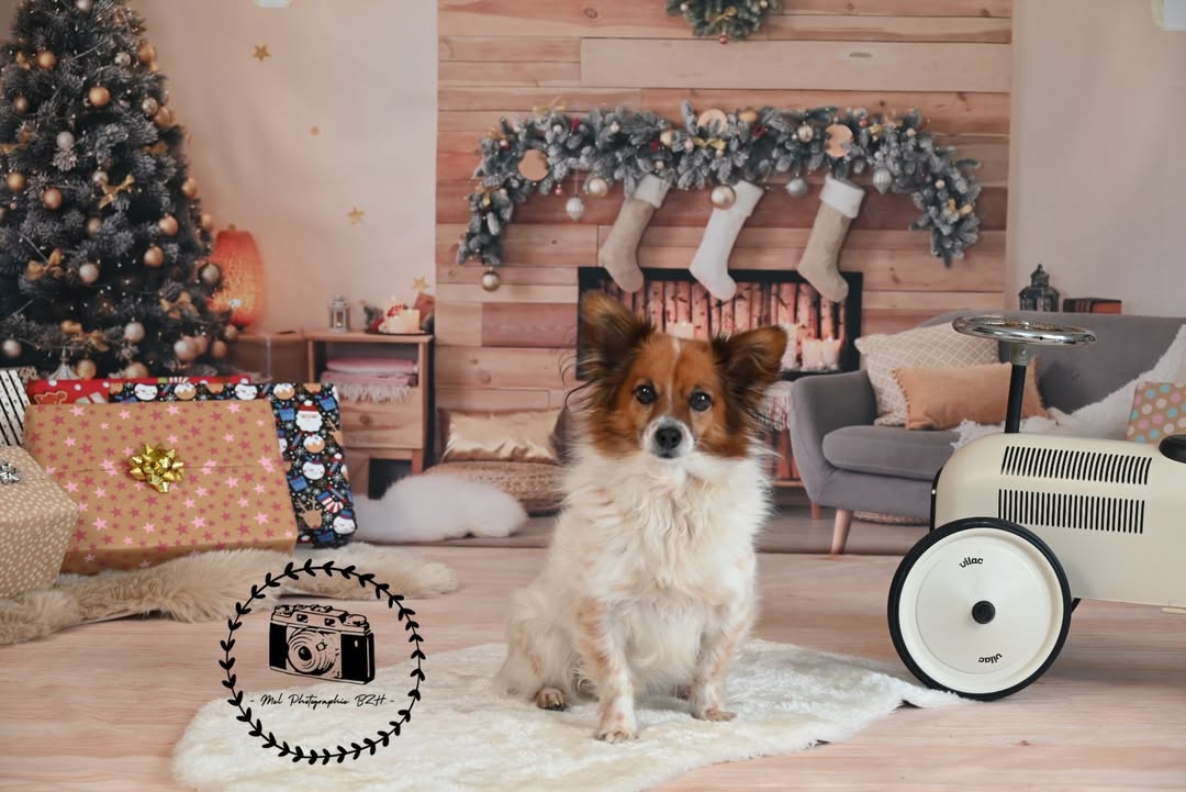 Toile de Fond Intérieure de la Salle de Cheminée de L'arbre de Noël M6-140