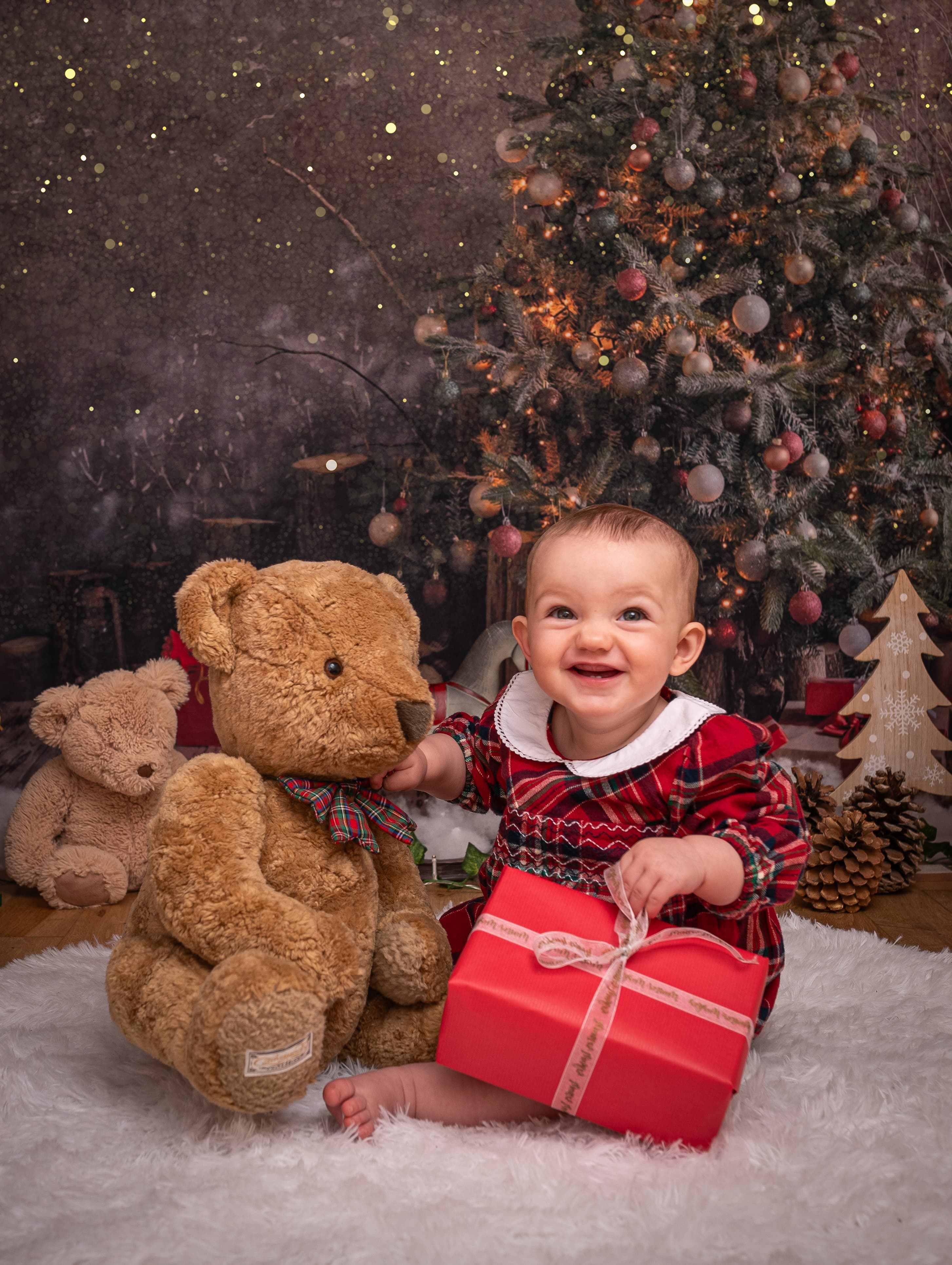 Coffrets Cadeaux de Sapin de Noël Toile de Fond du Père Noël M6-39