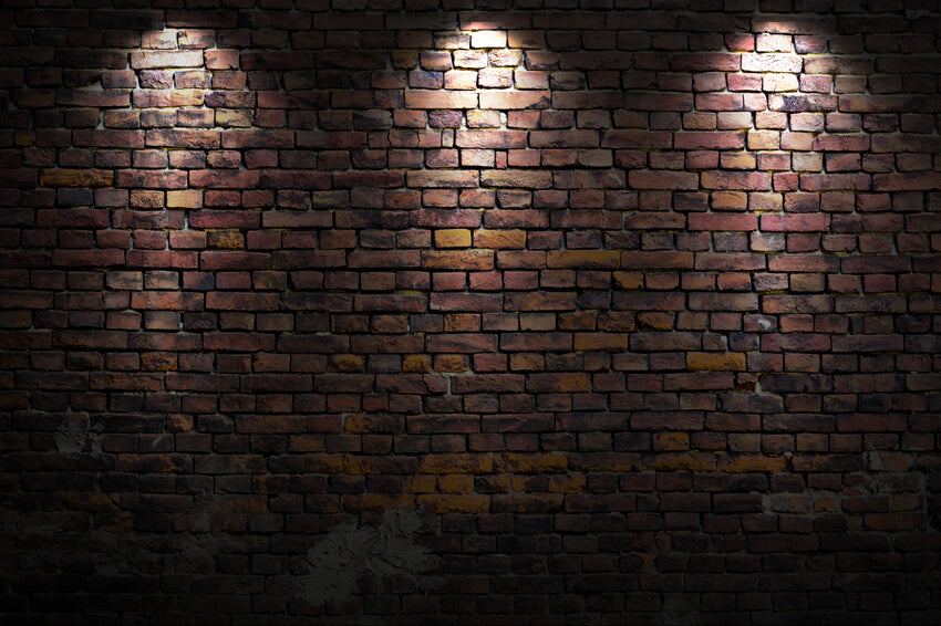 Vieux Mur de Briques Spots Photomaton Toile de Fond M7-21