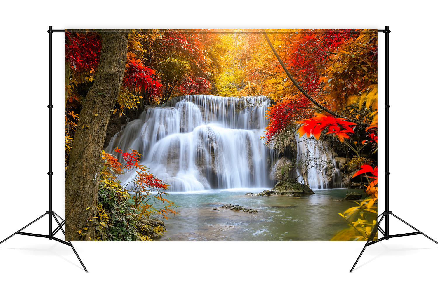 Toile de Fond Feuilles d'Erable Cascade Paysage d'Automne M8-52