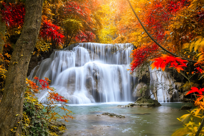 Toile de Fond Feuilles d'Erable Cascade Paysage d'Automne M8-52