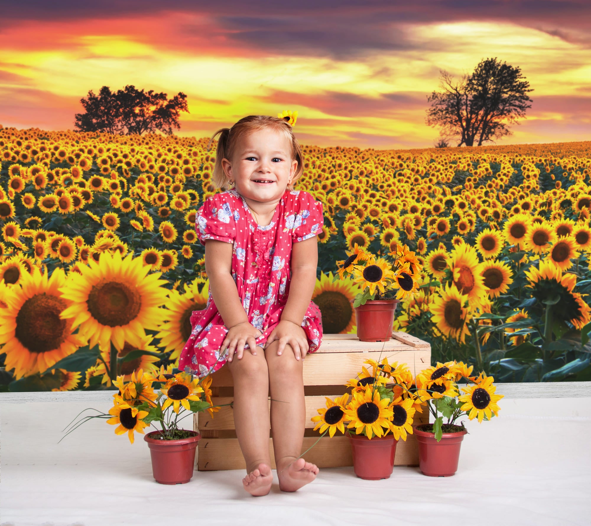 Toile de Fond Ferme Champ pour Photo M8-53