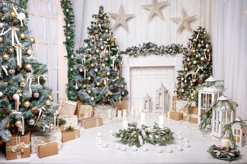 Toile de fond pour Décoration sur la Fête de Noël M8-71