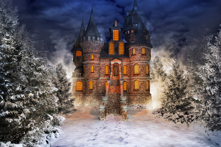 Toile de Fond Forêt Enneigée Château de Conte de Fées M9-40