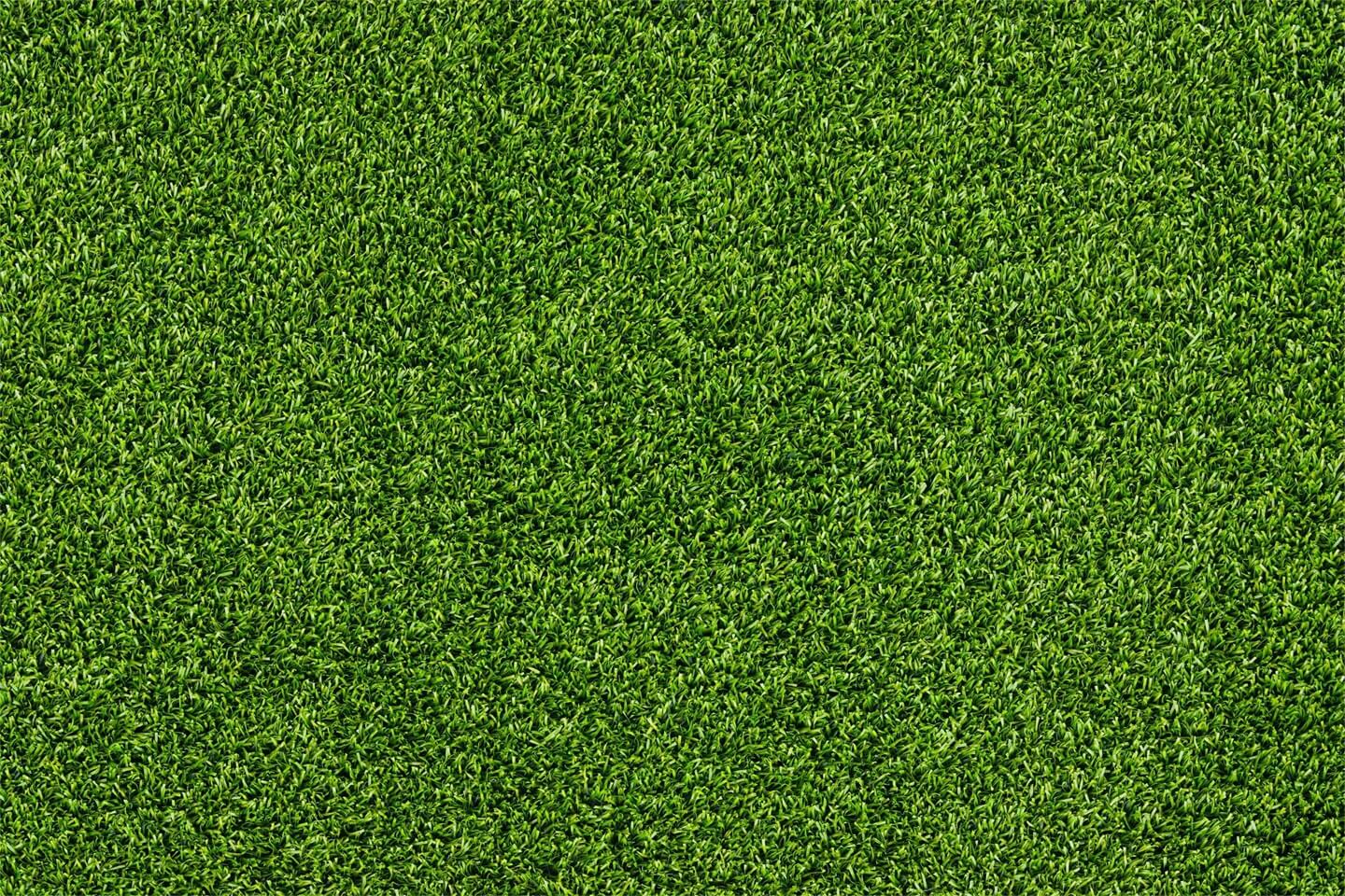 Tapis de sol en caoutchouc herbe verte printemps pour la photographie RM12-53
