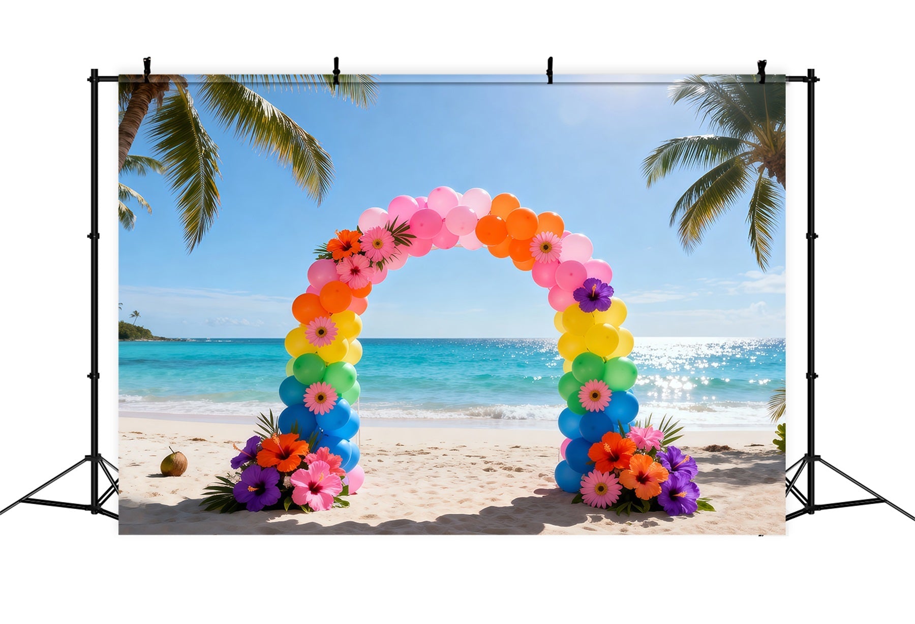 Fond Photo Plage Arche Ballons Arc-En-Ciel Fleurs RR61-1