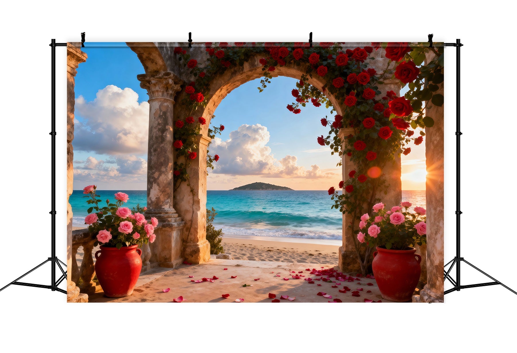 Toile de fond de Plage Arche Roses Romantique Océan RR61-30