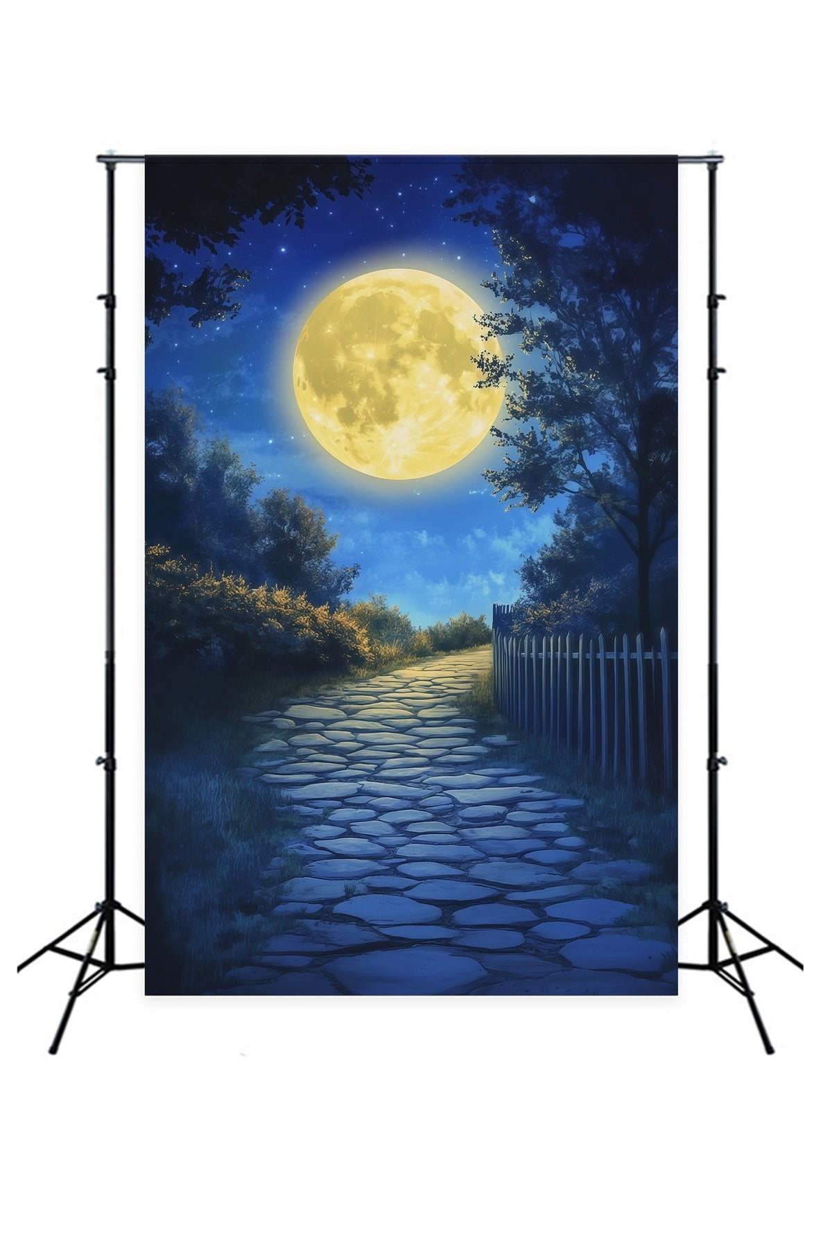 Décor De Lune Pour Halloween Forêt Au Clair De LuneChemin Pavé Toiles De Fond Photo D'Halloween RR67-157