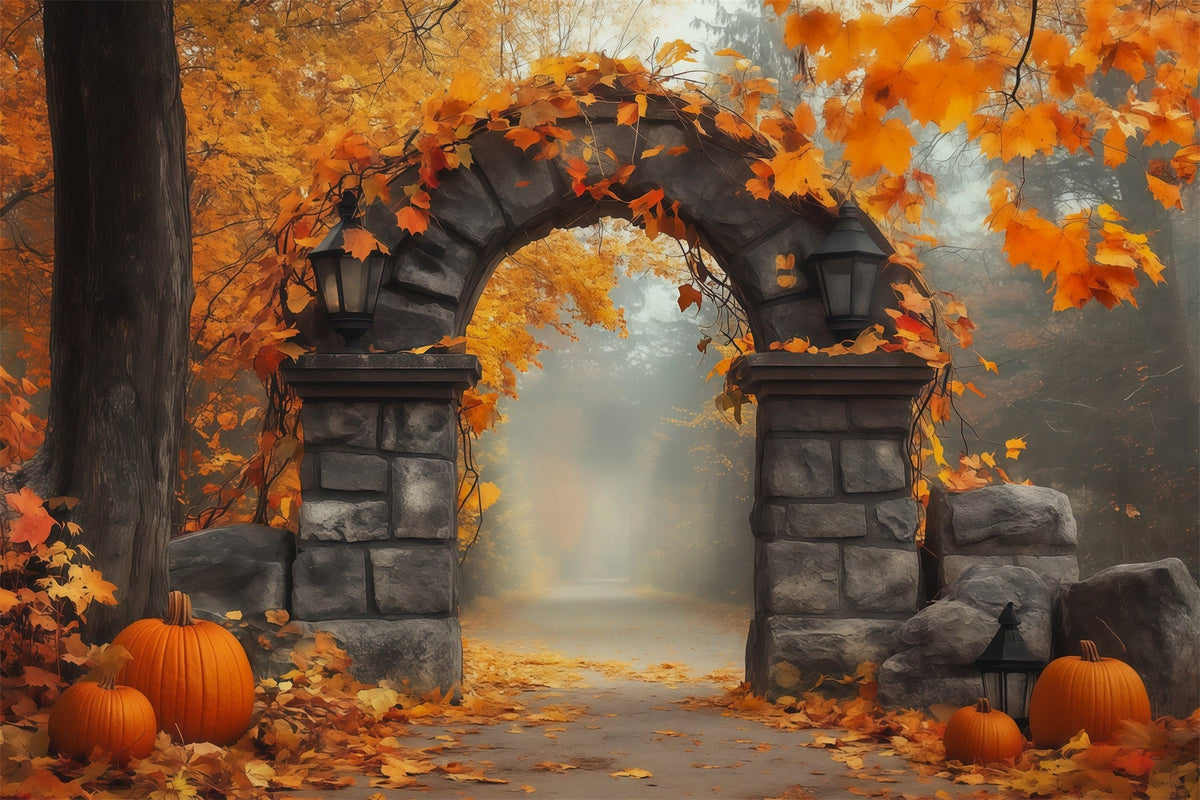 Décor D'Automne Avec Citrouilles Et Feuilles Portail En Pierre Toile De Fond Pour Photographie Halloween RR67-200