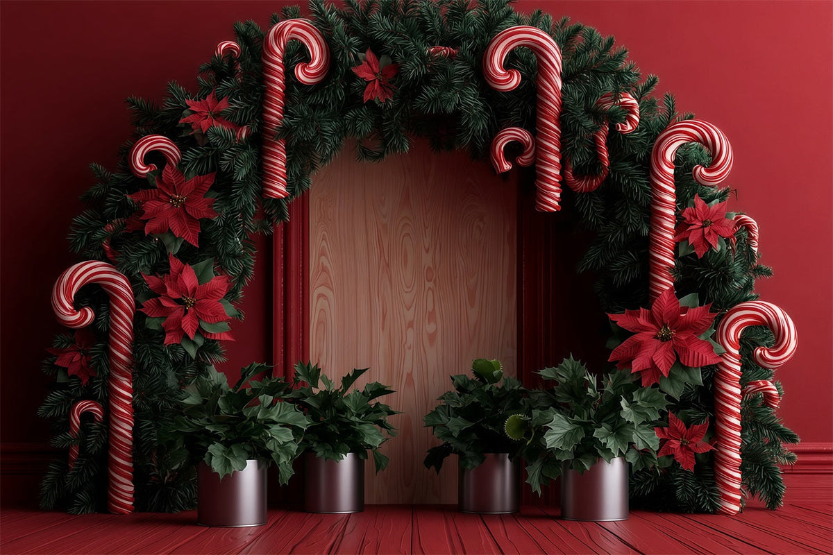 Décor De Noël En Forme De Canne À Sucre Arche De Guirlande De Poinsettias Décors De Studio De Noël RR69-79