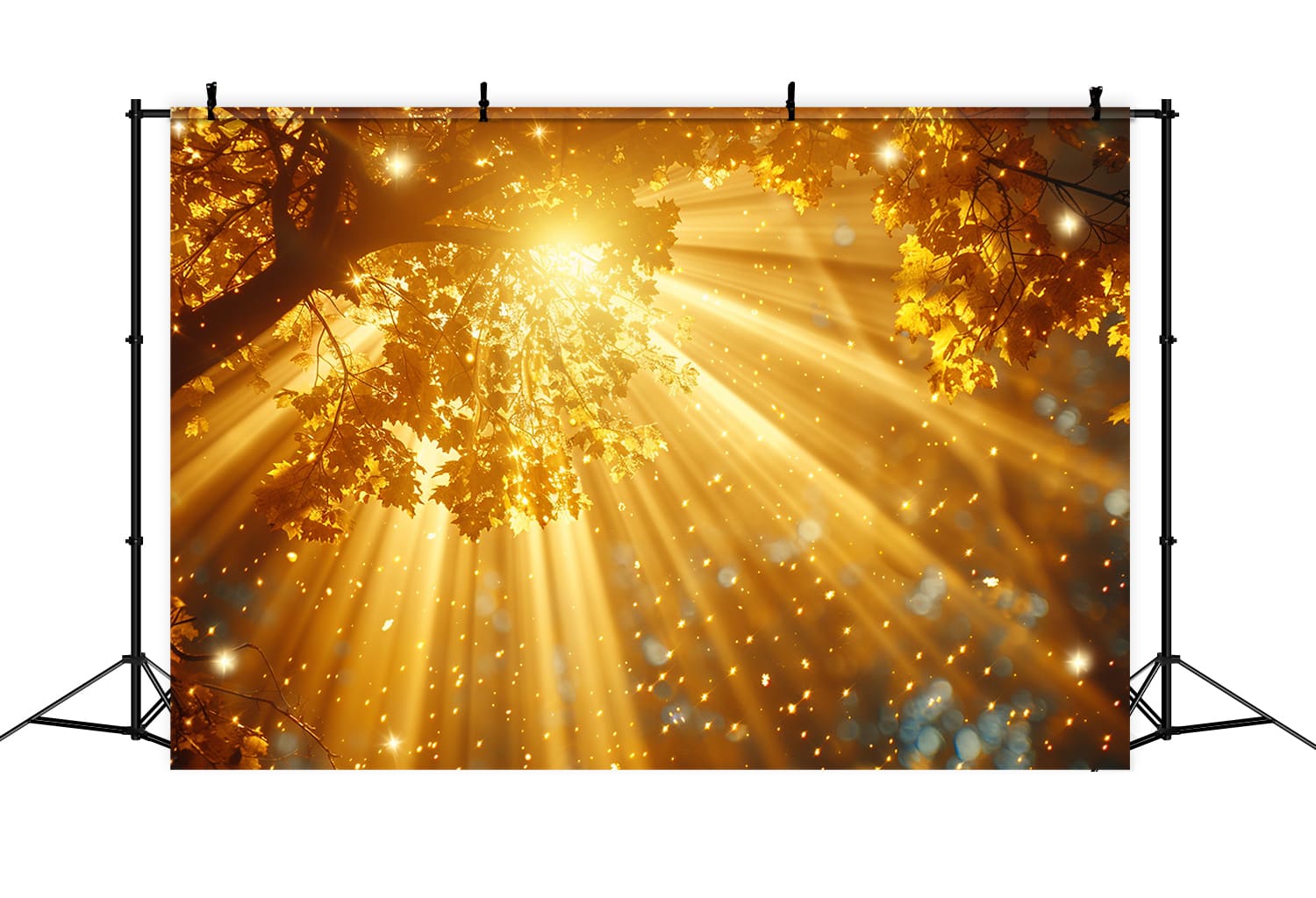 Toile de Fond de Photographie de Forêt avec Rayons de Soleil d'Automne RR7-155