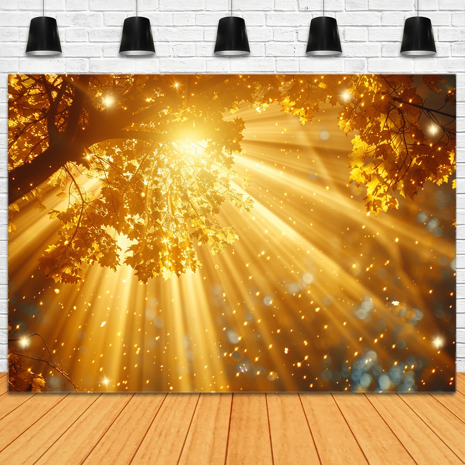 Toile de Fond de Photographie de Forêt avec Rayons de Soleil d'Automne RR7-155