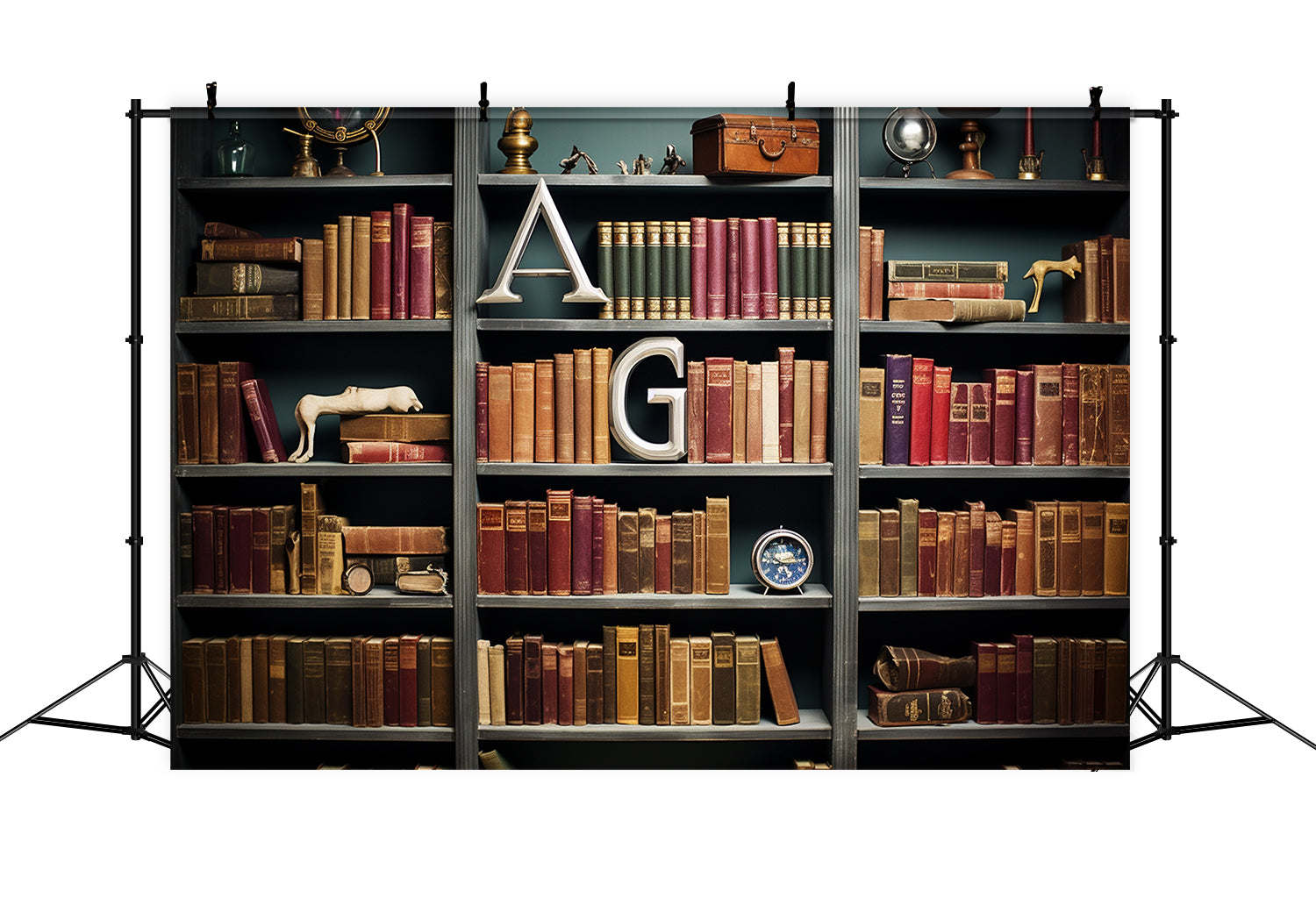Toile de Fond de Rayonnage Classique avec Livres pour la Rentrée RR7-194