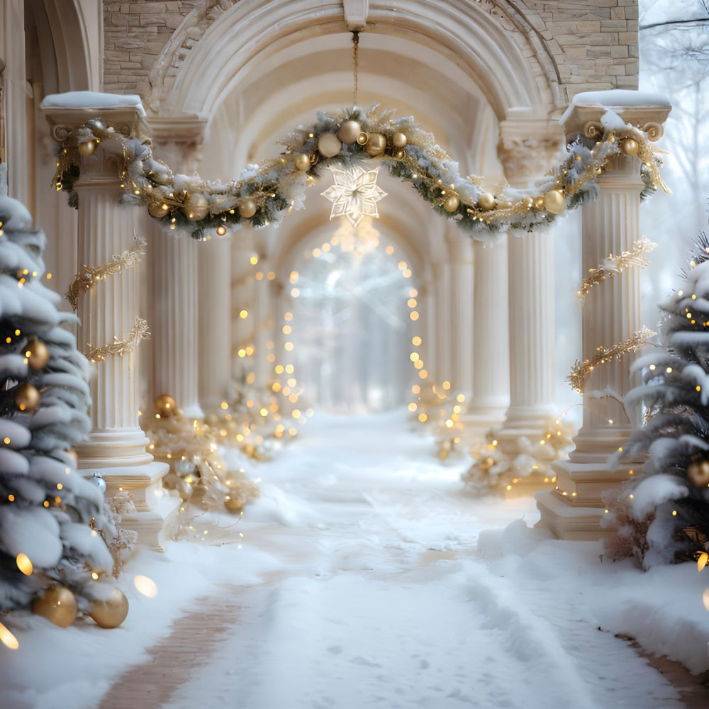 Toile de fond de Noël Promenade au Palais Hivernal RR7-612
