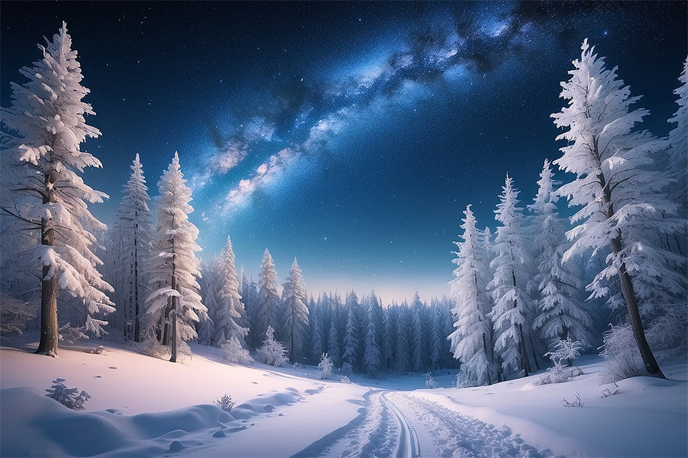Toile de fond de Forêt Enneigée en Nuit Hivernale de Noël RR7-771