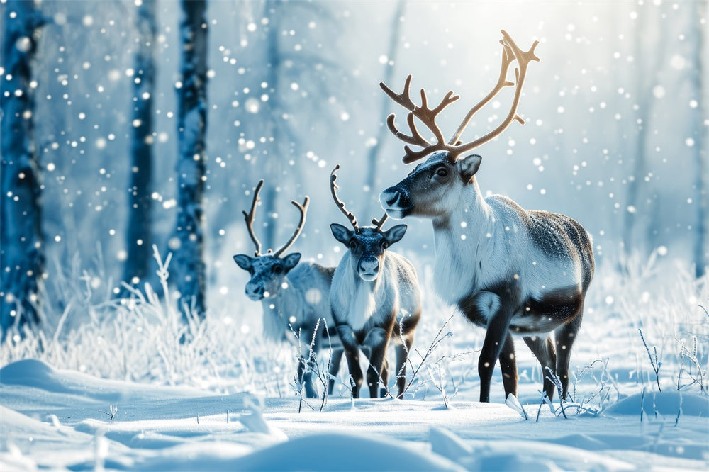 Toile de fond de Forêt Neigeuse avec Renne de Noël RR7-773