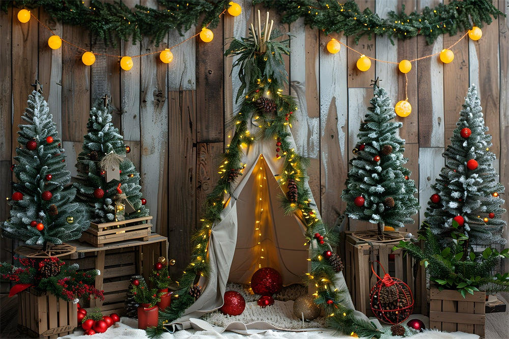 Toile de fond Petite Tente Lumières de Noël RR8-12