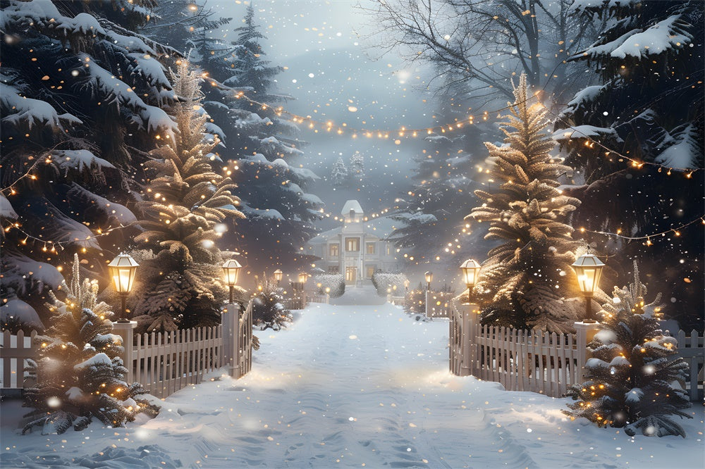 Toile de fond Maison en Bois Lumières de Noël RR8-30