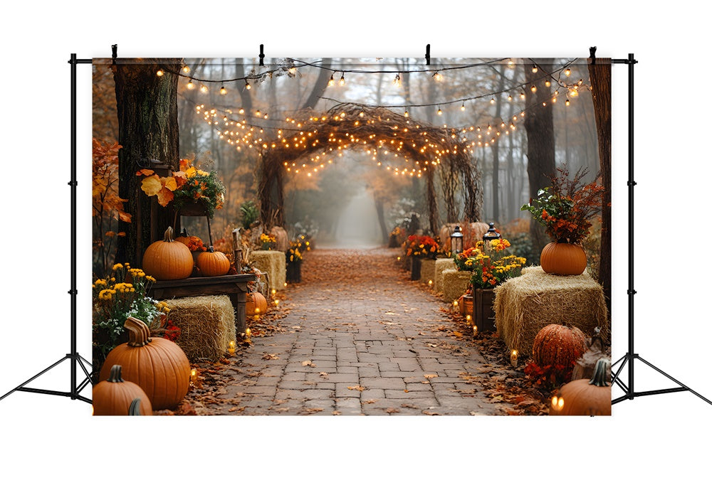 Toile de Fond Citrouilles et Bottes de Paille Guirlandes Lumineuses d'Automne RR8-318