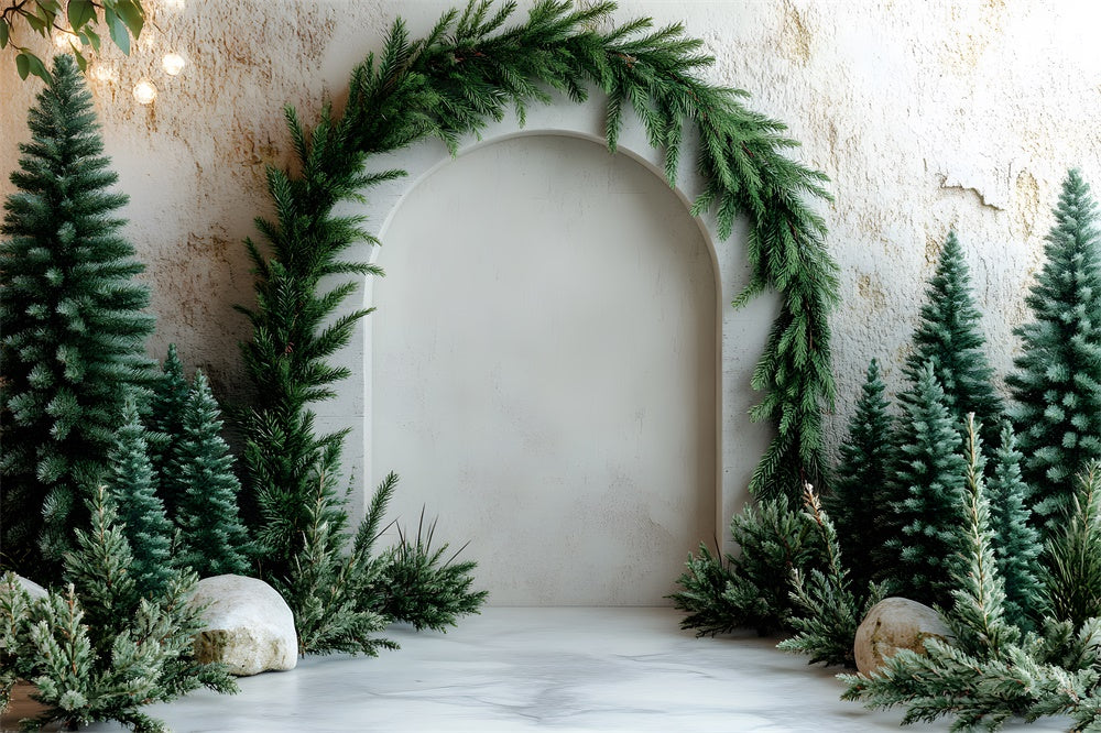 Toile de Fond Arche de Sapin de Noël pour Photographie RR8-347