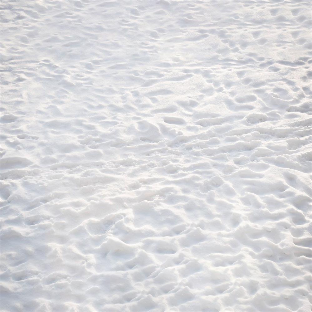 Toile de Fond Sol Immaculé Recouvert de Neige RR8-602